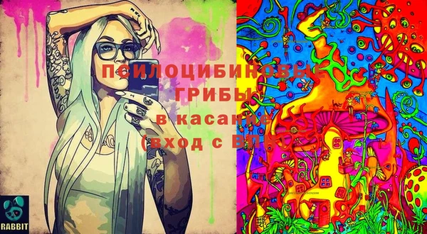 МДМА Горняк