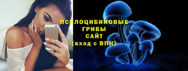 хмурый Горно-Алтайск