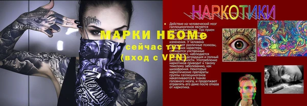 хмурый Горно-Алтайск