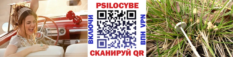 площадка Telegram  наркошоп  Искитим  Галлюциногенные грибы Psilocybe 