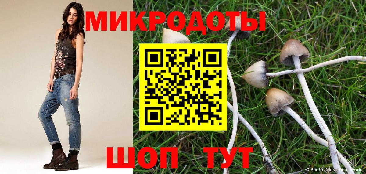 Искитим  Галлюциногенные грибы Magic Shrooms  Галлюциногенные грибы прущие грибы  Вход с VPN 