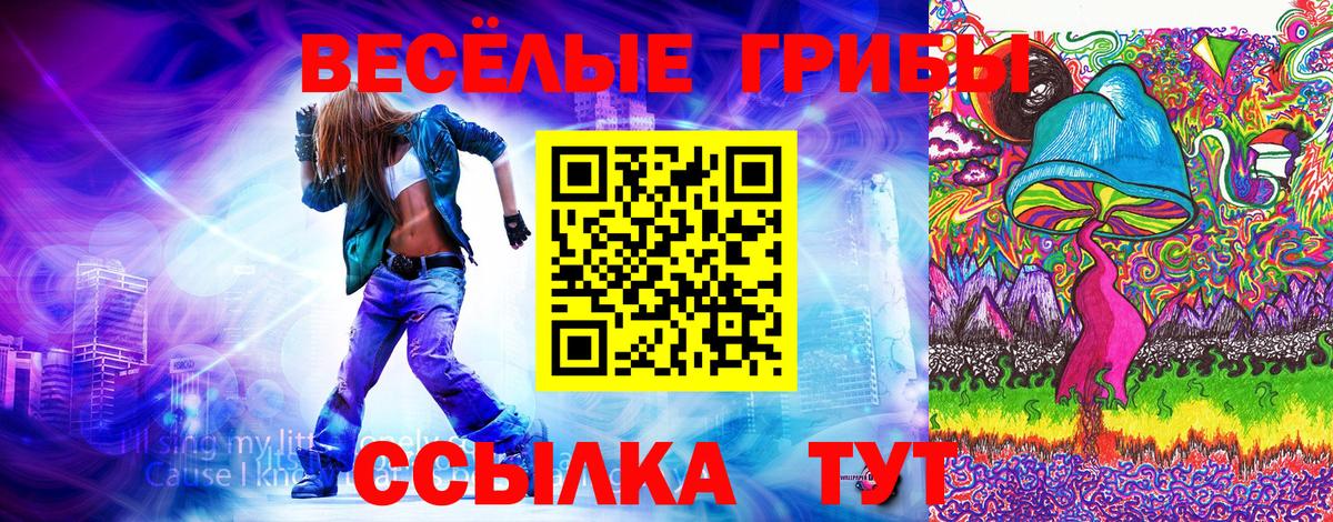 Галлюциногенные грибы Psilocybe Искитим